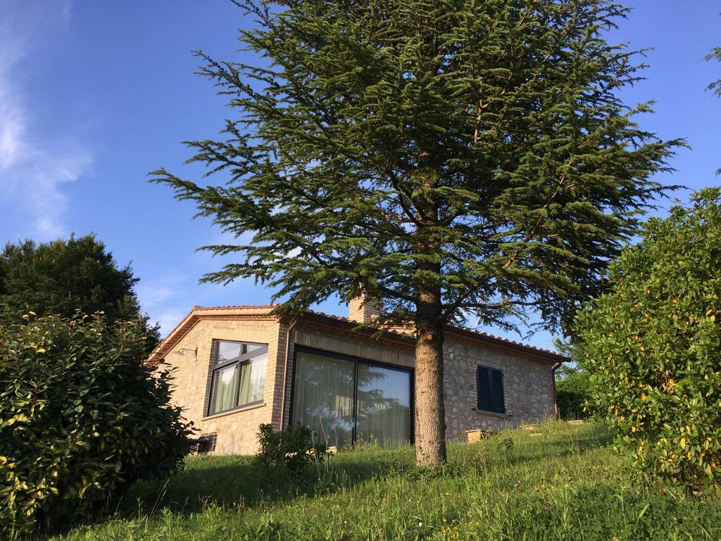 הוילה מונטונה Agricola Caicucci חדר תמונה